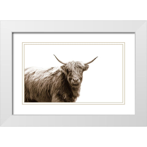Highland Portrait White Modern Wood Framed Art Print with Double Matting by Quillen, Donnie
