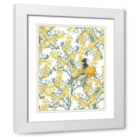Yellow Spring Finch White Modern Wood Framed Art Print with Double Matting by House Fenway