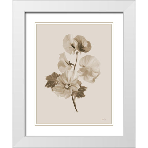 Sepia Botanical II White Modern Wood Framed Art Print with Double Matting by House Fenway