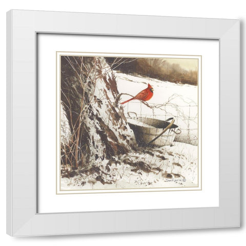 Country Cardinal White Modern Wood Framed Art Print with Double Matting by Rossini, John