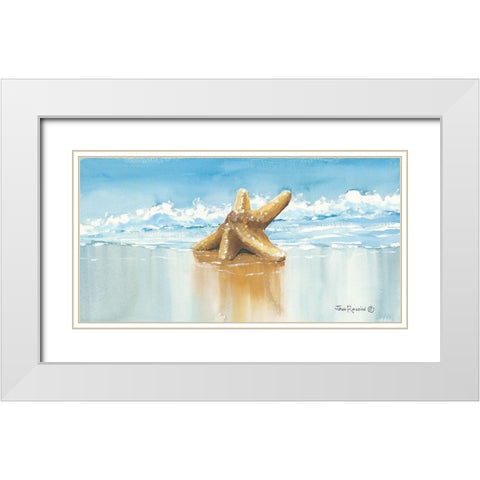 Sea Treasure White Modern Wood Framed Art Print with Double Matting by Rossini, John
