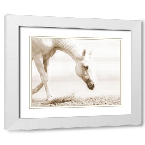 Trail Horse Sepia White Modern Wood Framed Art Print with Double Matting by Brooks, Kari