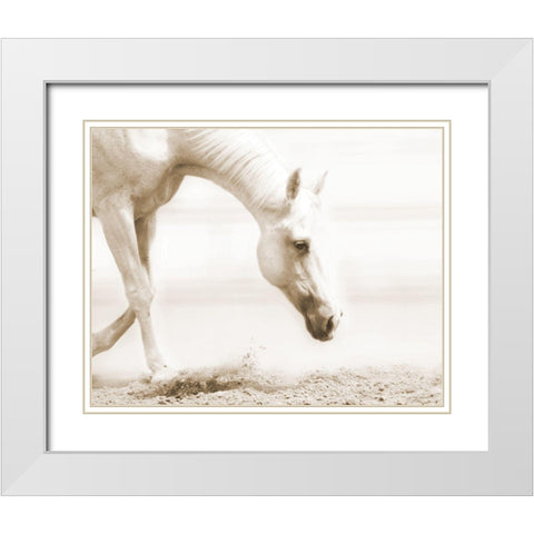 Trail Horse Sepia White Modern Wood Framed Art Print with Double Matting by Brooks, Kari