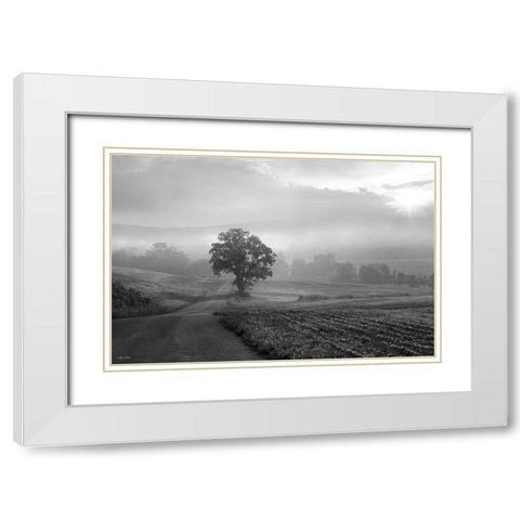 Morning Haze II White Modern Wood Framed Art Print with Double Matting by Deiter, Lori