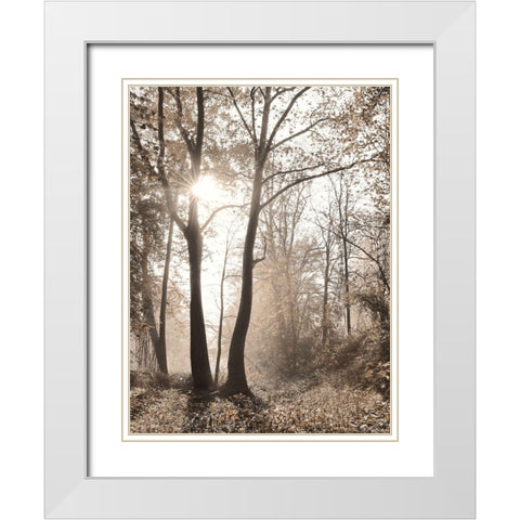 Woodland Sunrise White Modern Wood Framed Art Print with Double Matting by Deiter, Lori