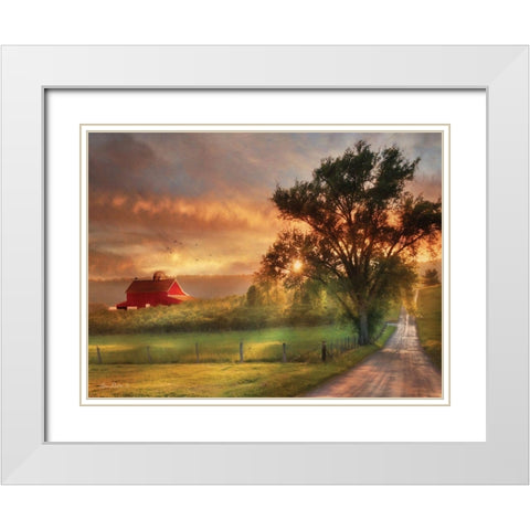 Country Lane Sunset White Modern Wood Framed Art Print with Double Matting by Deiter, Lori