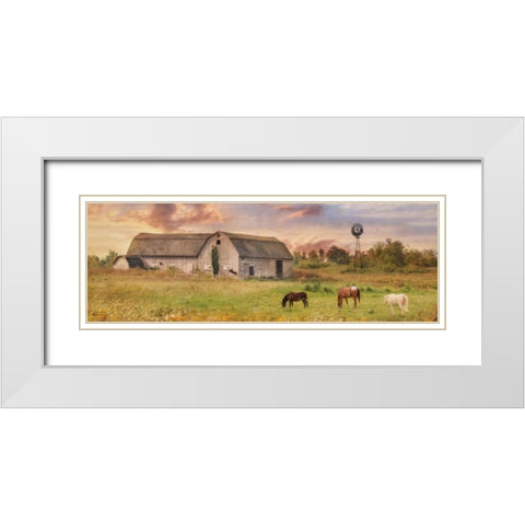 Clayton Barnyard White Modern Wood Framed Art Print with Double Matting by Deiter, Lori