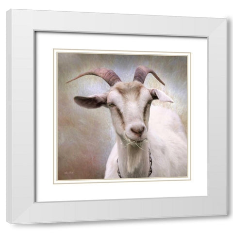 Up Close Goat White Modern Wood Framed Art Print with Double Matting by Deiter, Lori