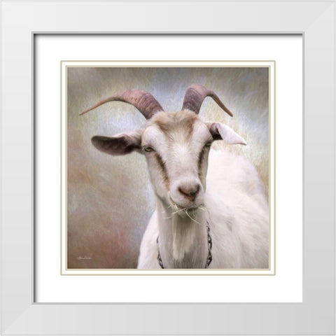 Up Close Goat White Modern Wood Framed Art Print with Double Matting by Deiter, Lori