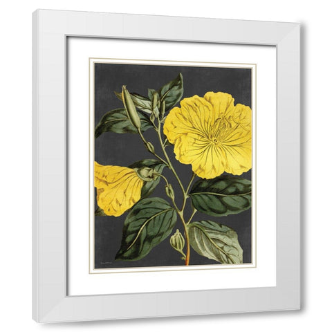 Yellow Vine White Modern Wood Framed Art Print with Double Matting by Lettered and Lined