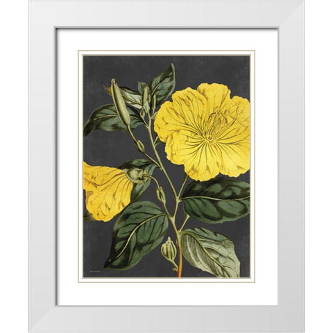 Yellow Vine White Modern Wood Framed Art Print with Double Matting by Lettered and Lined
