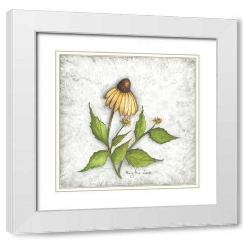 Bloomin Coneflowers White Modern Wood Framed Art Print with Double Matting by June, Mary Ann