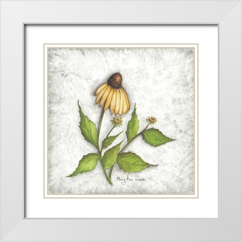 Bloomin Coneflowers White Modern Wood Framed Art Print with Double Matting by June, Mary Ann