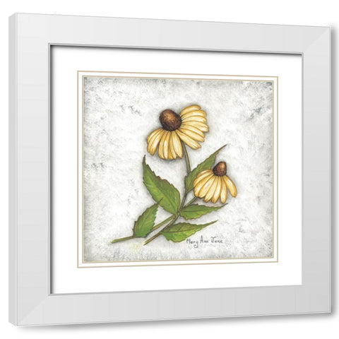 Yellow Coneflowers White Modern Wood Framed Art Print with Double Matting by June, Mary Ann