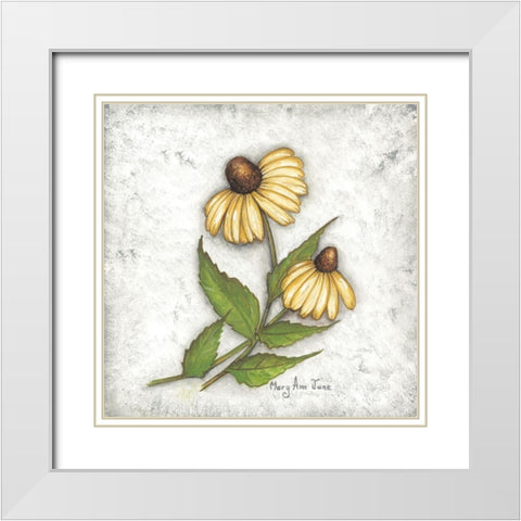 Yellow Coneflowers White Modern Wood Framed Art Print with Double Matting by June, Mary Ann