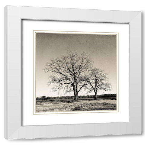 Tree No. 57 White Modern Wood Framed Art Print with Double Matting by Rigsby, Jennifer