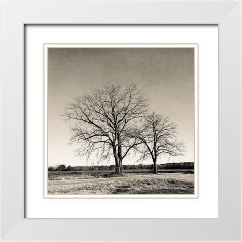 Tree No. 57 White Modern Wood Framed Art Print with Double Matting by Rigsby, Jennifer