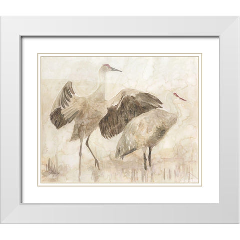 Sandhill Cranes 2 White Modern Wood Framed Art Print with Double Matting by Stellar Design Studio