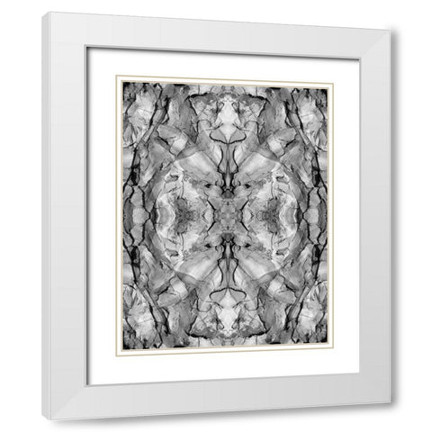 Black and white of quiver tree bark abstract White Modern Wood Framed Art Print with Double Matting by Jaynes Gallery