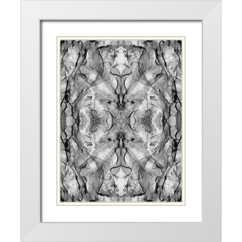 Black and white of quiver tree bark abstract White Modern Wood Framed Art Print with Double Matting by Jaynes Gallery