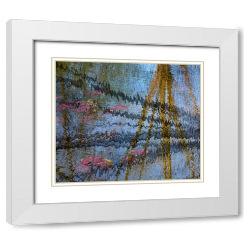 Lily pond reflection abstract White Modern Wood Framed Art Print with Double Matting by Jaynes Gallery