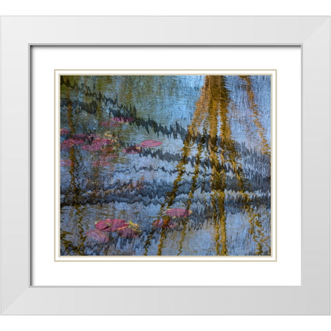 Lily pond reflection abstract White Modern Wood Framed Art Print with Double Matting by Jaynes Gallery