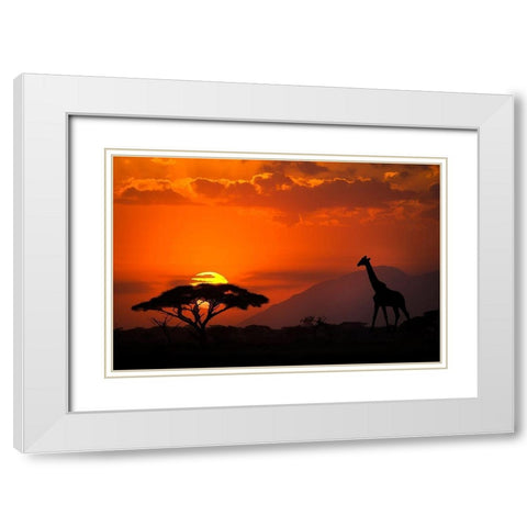 Kenya-Amboseli National Park Abstract sunset with giraffe and acacia tree silhouettes White Modern Wood Framed Art Print with Double Matting by Jaynes Gallery