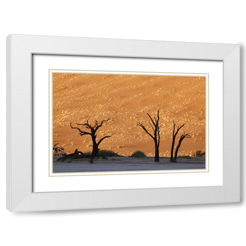 Dead tree, Dead Vlei, Sossusvlei, Namibia White Modern Wood Framed Art Print with Double Matting by Kaveney, Wendy