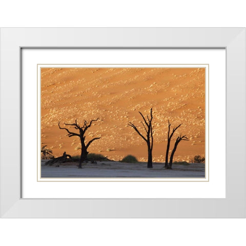 Dead tree, Dead Vlei, Sossusvlei, Namibia White Modern Wood Framed Art Print with Double Matting by Kaveney, Wendy