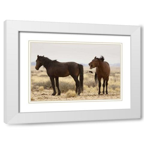 Namibia, Aus Two wild horses on the Namib Desert White Modern Wood Framed Art Print with Double Matting by Kaveney, Wendy