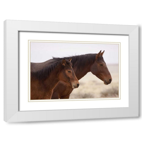 Namibia, Aus Two wild horses on the Namib Desert White Modern Wood Framed Art Print with Double Matting by Kaveney, Wendy