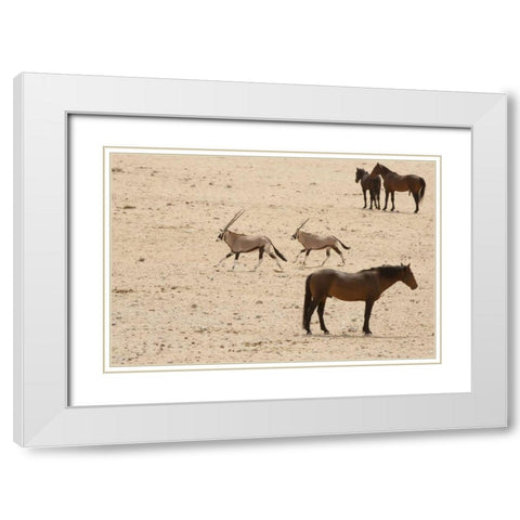 Namibia, Aus, Namib Desert Oryxes and horses White Modern Wood Framed Art Print with Double Matting by Kaveney, Wendy