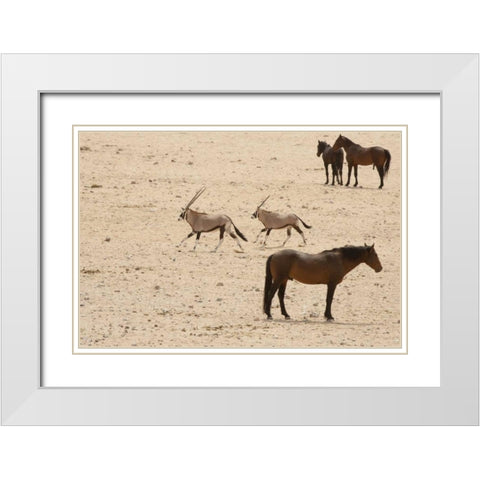 Namibia, Aus, Namib Desert Oryxes and horses White Modern Wood Framed Art Print with Double Matting by Kaveney, Wendy