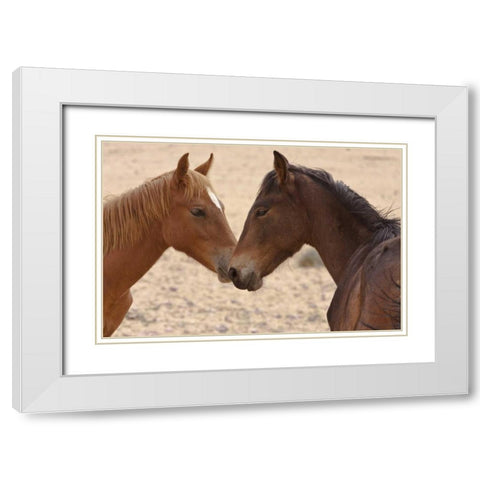 Namibia, Garub Feral horse herd touch noses White Modern Wood Framed Art Print with Double Matting by Young, Bill
