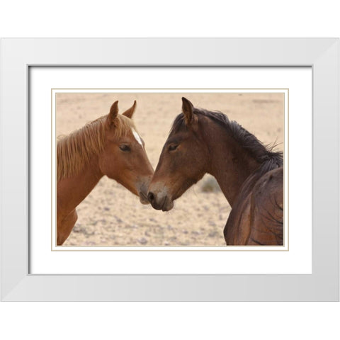 Namibia, Garub Feral horse herd touch noses White Modern Wood Framed Art Print with Double Matting by Young, Bill