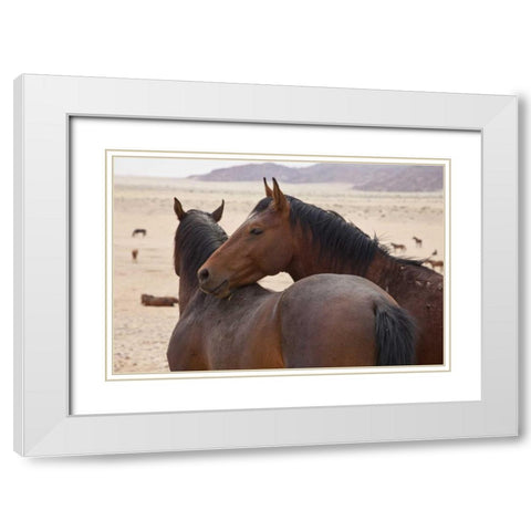 Namibia, Garub Two feral horses interact White Modern Wood Framed Art Print with Double Matting by Young, Bill
