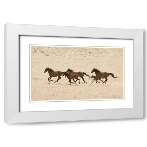 Namibia, Aus Group of running wild horses White Modern Wood Framed Art Print with Double Matting by Kaveney, Wendy