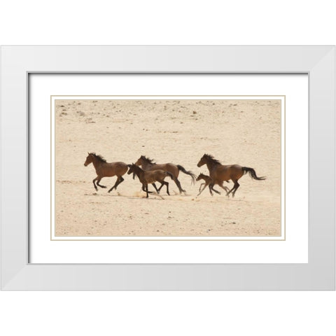 Namibia, Aus Group of running wild horses White Modern Wood Framed Art Print with Double Matting by Kaveney, Wendy