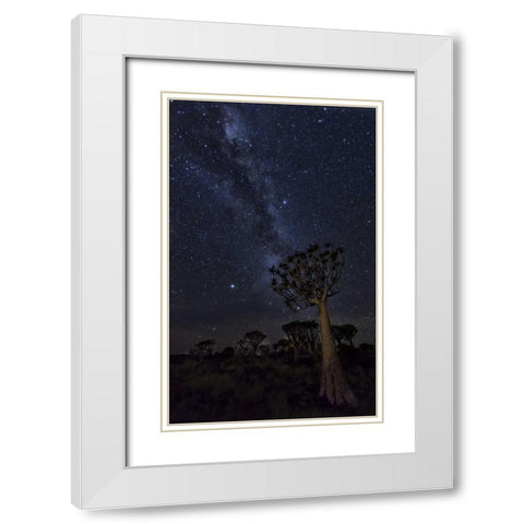 Namibia Milky Way and quiver trees at night White Modern Wood Framed Art Print with Double Matting by Kaveney, Wendy