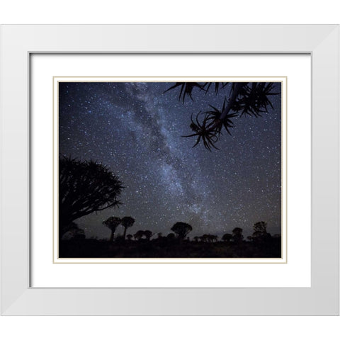 Namibia Milky Way and quiver trees at night White Modern Wood Framed Art Print with Double Matting by Kaveney, Wendy
