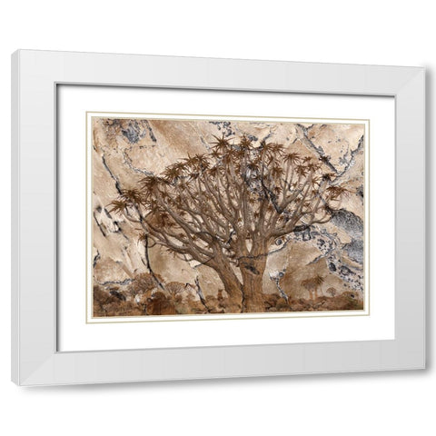 Africa-Namibia-Quiver tree and bark photo montage White Modern Wood Framed Art Print with Double Matting by Jaynes Gallery