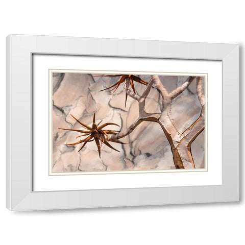 Africa-Namibia-Quiver tree and bark photo montage White Modern Wood Framed Art Print with Double Matting by Jaynes Gallery