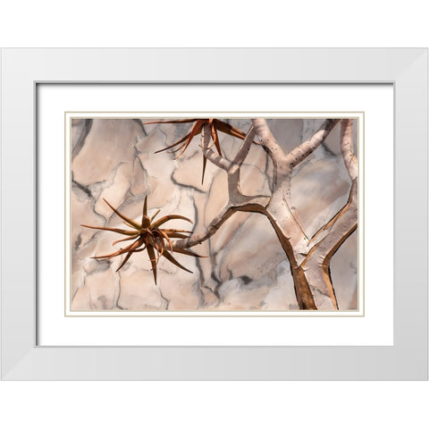 Africa-Namibia-Quiver tree and bark photo montage White Modern Wood Framed Art Print with Double Matting by Jaynes Gallery