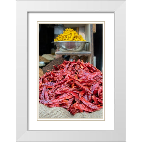 India-Delhi-Old Delhi Old Delhi street market White Modern Wood Framed Art Print with Double Matting by Hopkins, Cindy Miller