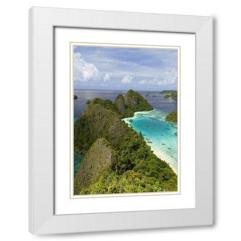 Island vegetation, New Guinea Island, Indonesia White Modern Wood Framed Art Print with Double Matting by Shimlock, Jones