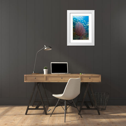 Indonesia Yellowtail fusilier and sea whip coral White Modern Wood Framed Art Print with Double Matting by Shimlock, Jones