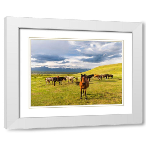 Horses for the production of milk-kumys and meat A typical farm on the Suusamyr plain-a high valley White Modern Wood Framed Art Print with Double Matting by Zwick, Martin