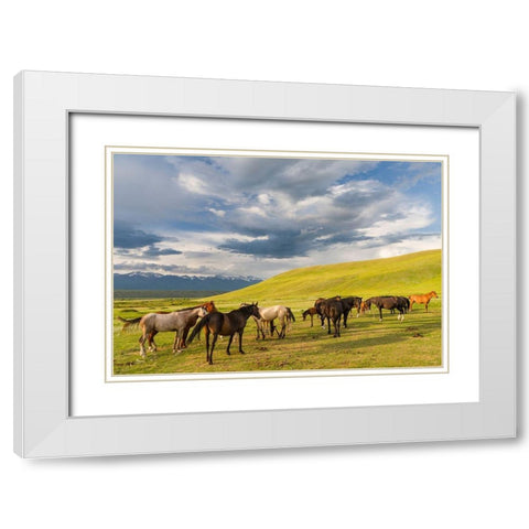 Horses for the production of milk-kumys and meat A typical farm on the Suusamyr plain White Modern Wood Framed Art Print with Double Matting by Zwick, Martin