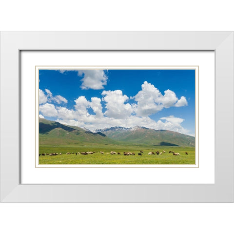 Summer pasture with traditional Yurts The Suusamyr plain White Modern Wood Framed Art Print with Double Matting by Zwick, Martin