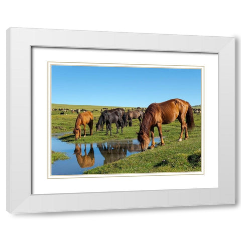 Horses on their mountain pasture at lake Song Kol  White Modern Wood Framed Art Print with Double Matting by Zwick, Martin
